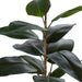 NSIMG-SHA256:aac54b852565dbff563cc86cdb21bd989d7888c53a0cecd9968e97f5f890df61 · Isalbi Rogue Rubber Tree Green