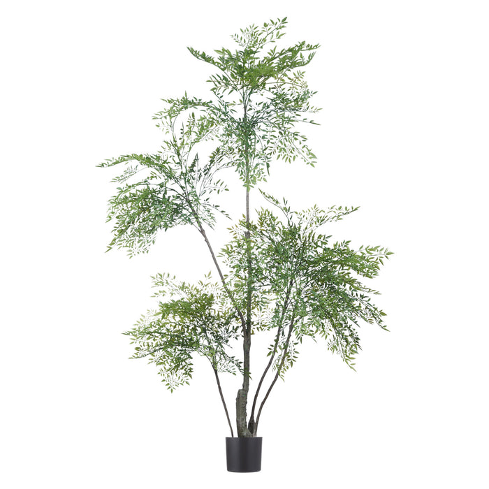 NSIMG-SHA256:fd04bd1230025b0e2534bb9ba17f3dc049cf7af2ef86436b4ca94d5a82040385 · Isalbi Rogue Ficus Tree Green