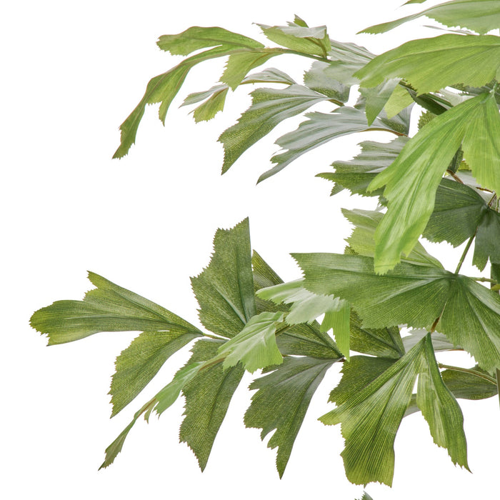 NSIMG-SHA256:2e2c2265949e22aa85aab8c2c18e3c1074aa39fff65ff2675e74c7d9fde3ed1e · Isalbi Rogue Caryota Palm Tree - Vienna Green