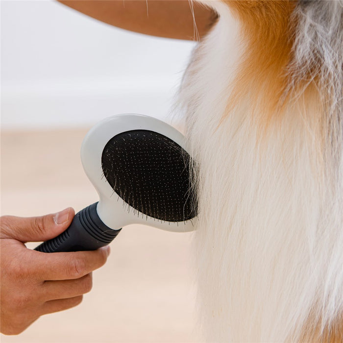 Paws & Claws GROOMING PRO PET METAL BRUSH 22.5X13X5CM