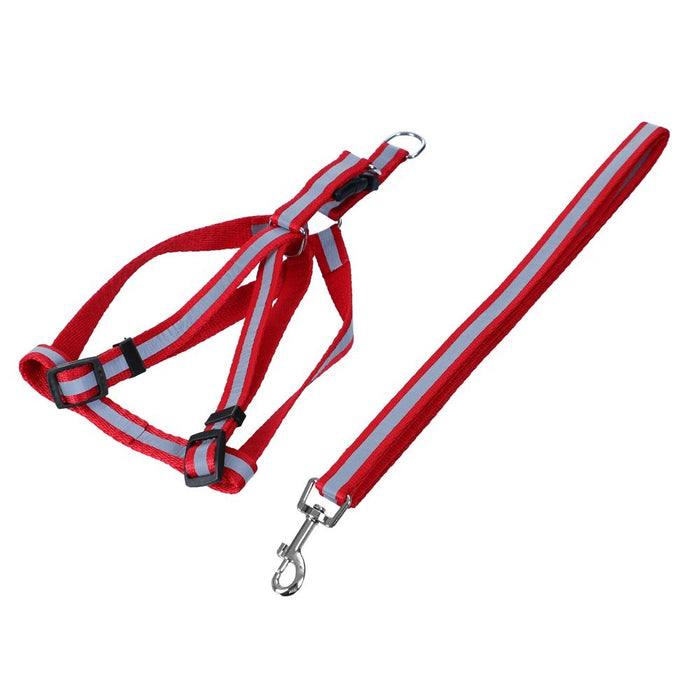 Paws & Claws REFLECTIVE LEAD & HARNESS 1.5CMX120CM HARNESS 35-50CM