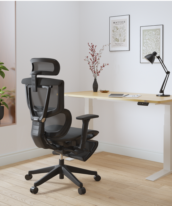 Flexispot C7 Ergonomic Mesh Back Executive Chairs Recliner High Quality Manager Mesh Office Chair