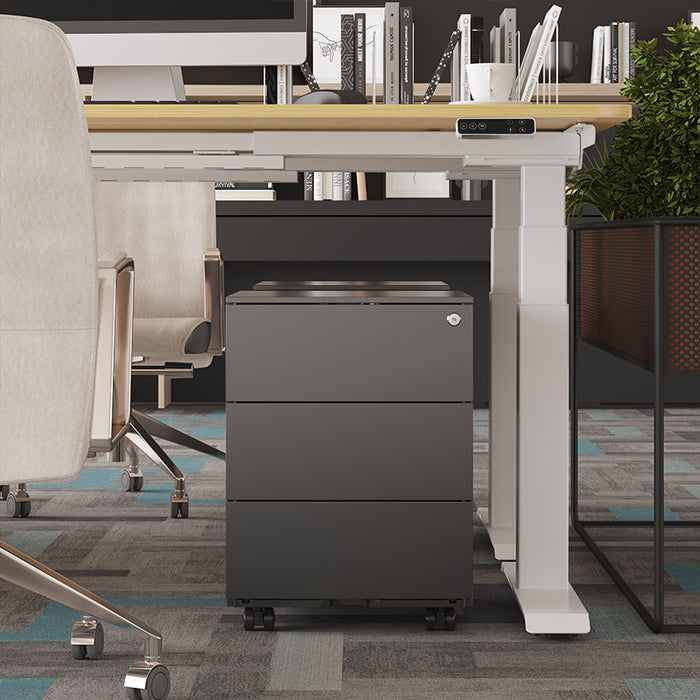 Flexispot RC2 Storage Cabinet: Secure, Smart Storage for Every Space