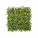 NSIMG-SHA256:8e089ddc6c9cc33c9d597ae306ec9203dc4b906bac1ff06384de041bdca4c453 · Isalbi Rogue Lush Garden Tile UV Green
