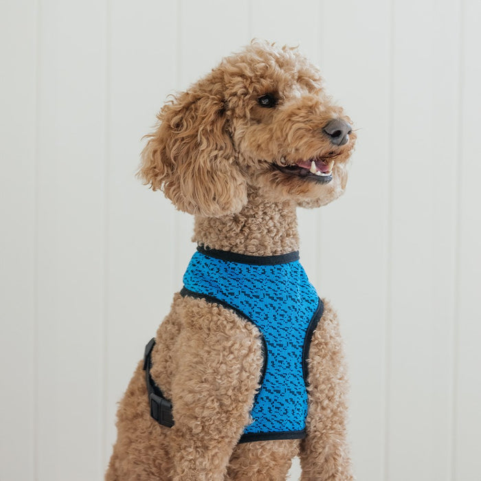 Paws & Claws COMFORT PET HARNESS L-XXL 43-59CM