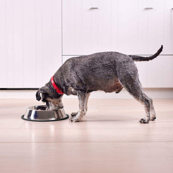 Paws & Claws STAINLESS STEEL PET BOWL BLACK ANTI-SKID 700ML 23X23X4.5CM