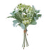 NSIMG-SHA256:c4889c32d1aaadb8e460c88a4110c1ab0e7878a2ad82c05b3bf530859ad2a545 · Isalbi Rogue Mixed Foliage Bunch Green