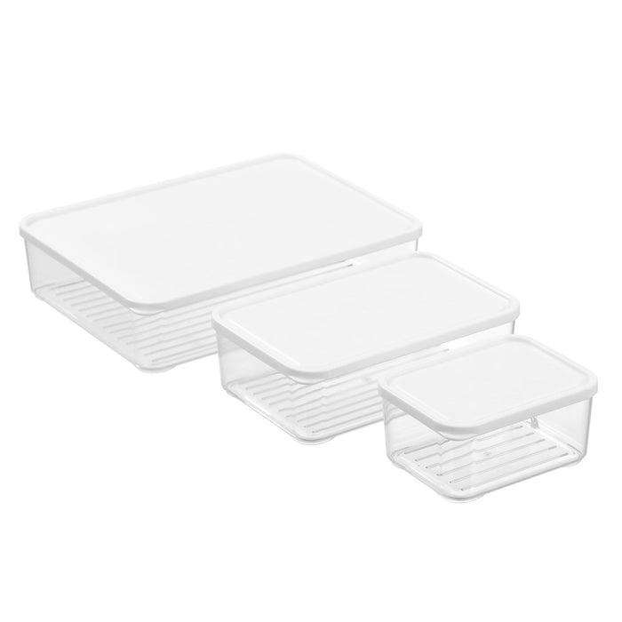 Lemon & Lime FRIDGE FOOD STORER 2L 24 x 18 x 5.6 cm