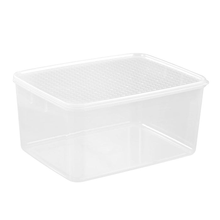 Lemon & Lime SIMPLE FRESH FOOD CONTAINER 9.5L 31.5X24X15CM