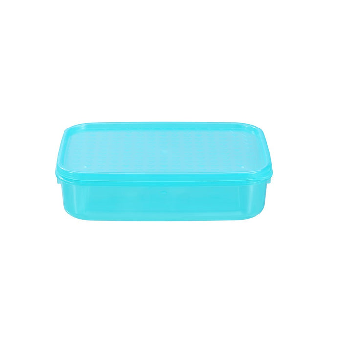 Lemon & Lime SIMPLE FRESH FOOD CONTAINER 1L 19.5X13.5X5.5CM