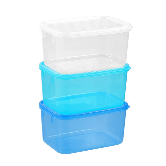 Lemon & Lime SIMPLE FRESH FOOD CONTAINER 2L 19.5X13.5X10.5CM