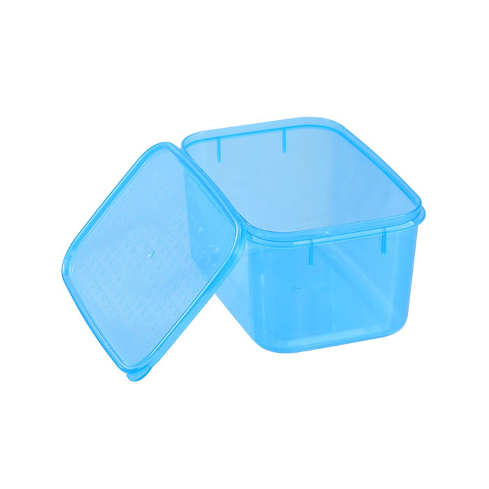 Lemon & Lime SIMPLE FRESH FOOD CONTAINER 2L 19.5X13.5X10.5CM