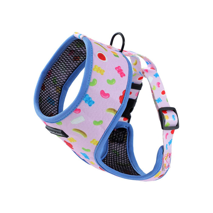 Paws & Claws PARK LIFE 3 PRINTED HARNESS MED 37-50CM DESIGNS
