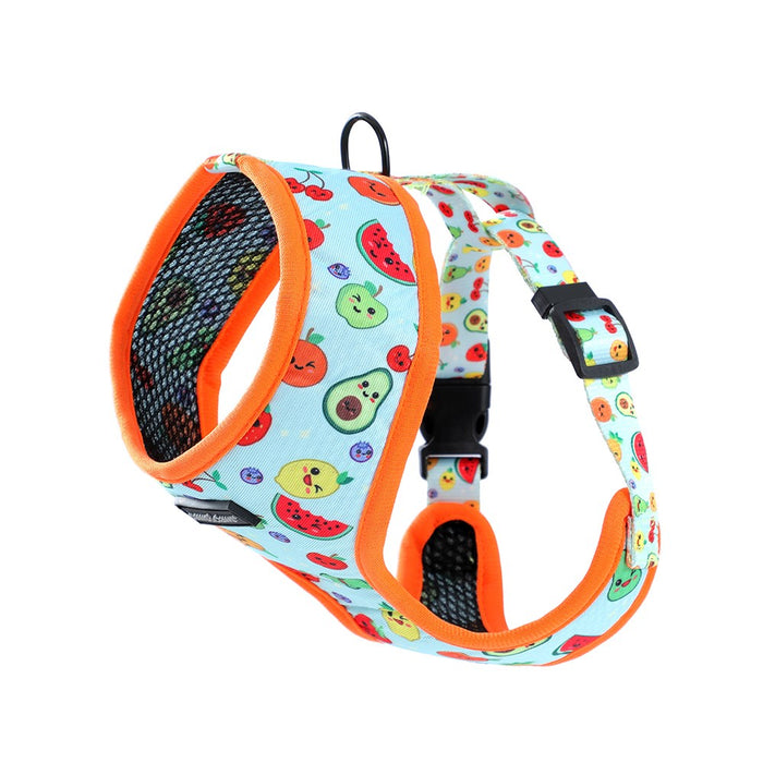 Paws & Claws PARK LIFE 3 PRINTED HARNESS MED 37-50CM DESIGNS