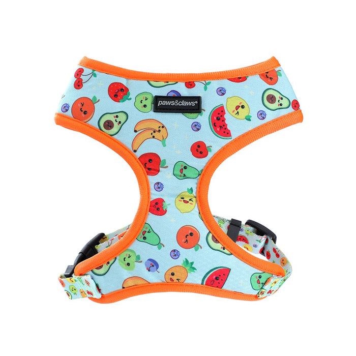 Paws & Claws PARK LIFE 3 PRINTED HARNESS MED 37-50CM DESIGNS