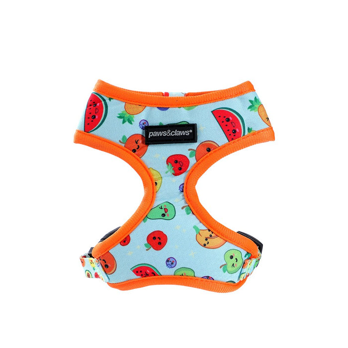 Paws & Claws PARK LIFE 3 PRINTED HARNESS SML 15-32CM DESIGNS