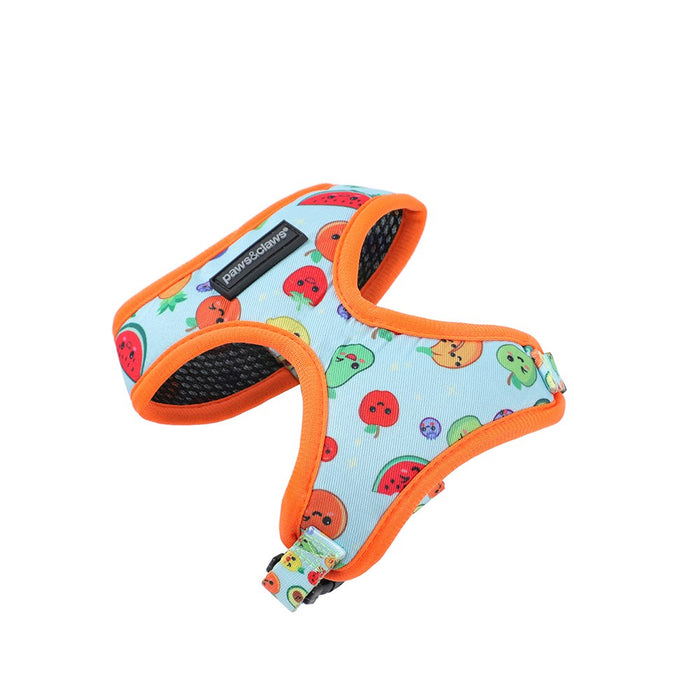 Paws & Claws PARK LIFE 3 PRINTED HARNESS SML 15-32CM DESIGNS