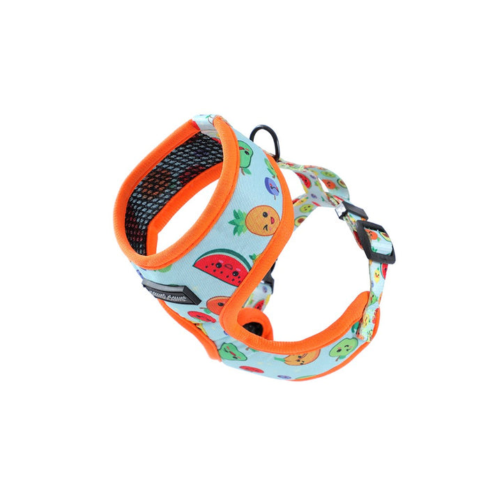 Paws & Claws PARK LIFE 3 PRINTED HARNESS SML 15-32CM DESIGNS