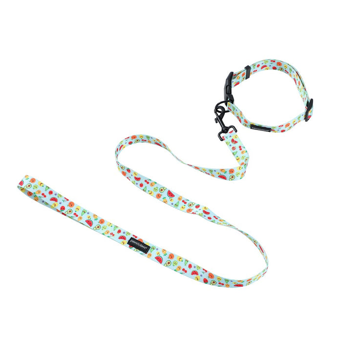 Paws & Claws PARK LIFE 3 COLLAR + LEAD SET LGE DESIGNS 120X2.5CM LEAD/45-65CM COLLAR