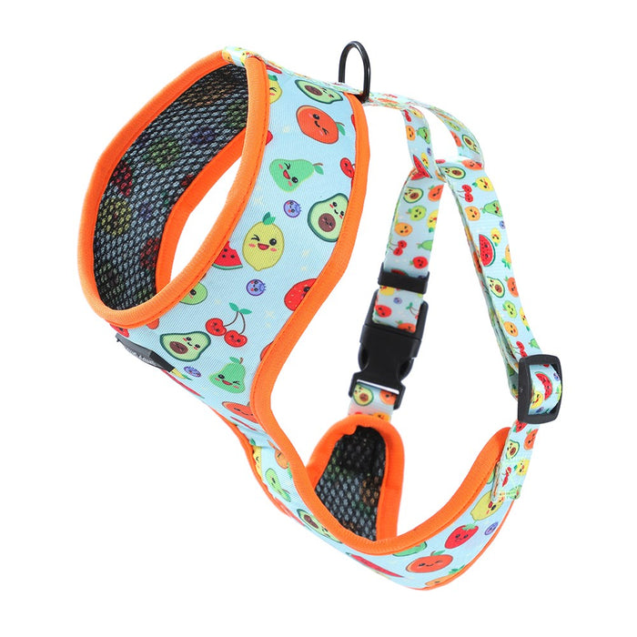 Paws & Claws PARK LIFE 3 PRINTED HARNESS LGE 50-70CM DESIGNS