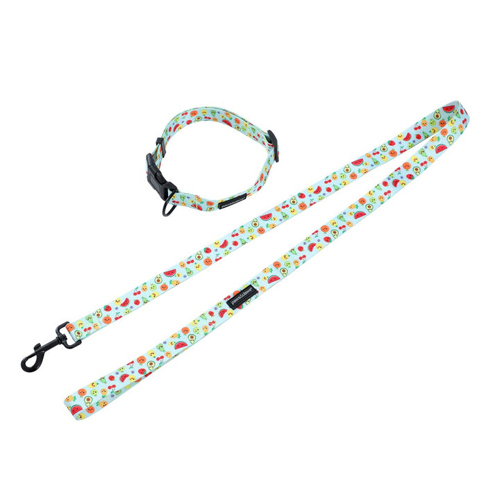 Paws & Claws PARK LIFE 3 COLLAR + LEAD SET MED DESIGNS 120X2CM LEAD/35-50CM COLLAR