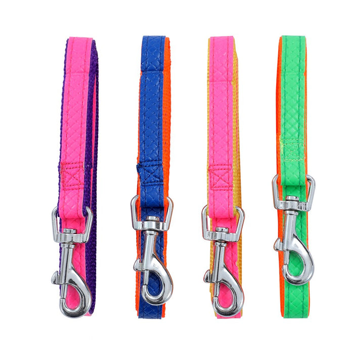 Paws & Claws COLOURFUL P.U & NYLON LEASH 1.5X120CM