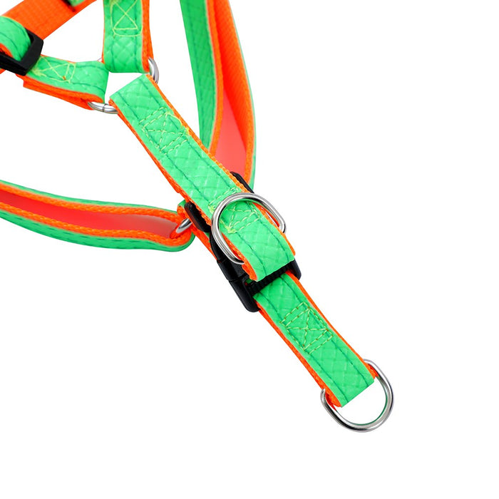 Paws & Claws COLOURFUL P.U & NYLON HARNESS 20-40CM, 30-50CM COLS, SIZES