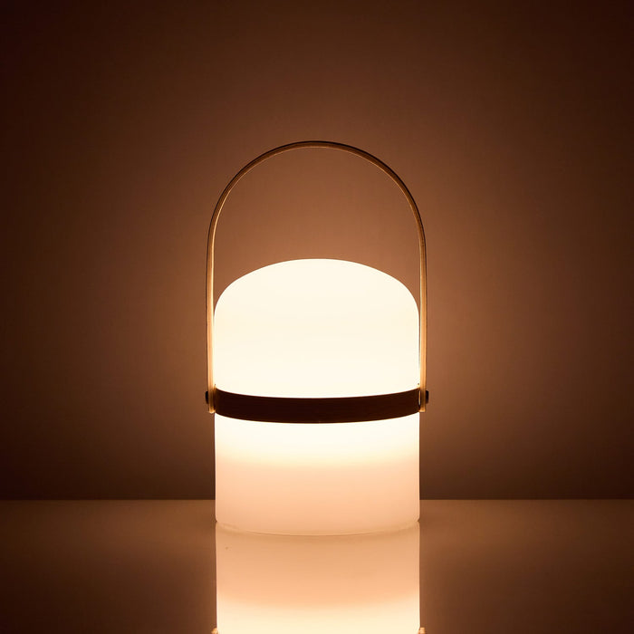 NSIMG-SHA256:ca592f8c5e6663fbfb8771dca6de0e57dde0c237bd04a3395960c459e1d69634 · Isalbi Rogue Afterglow LED Table Lamp Natural
