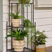 NSIMG-SHA256:fd75792a70ed06c69d09730f7977d9680fe4f6e92832c86deb1aeaec4d659090 · Isalbi Rogue Onyx 3 Tier Corner Shelf Black