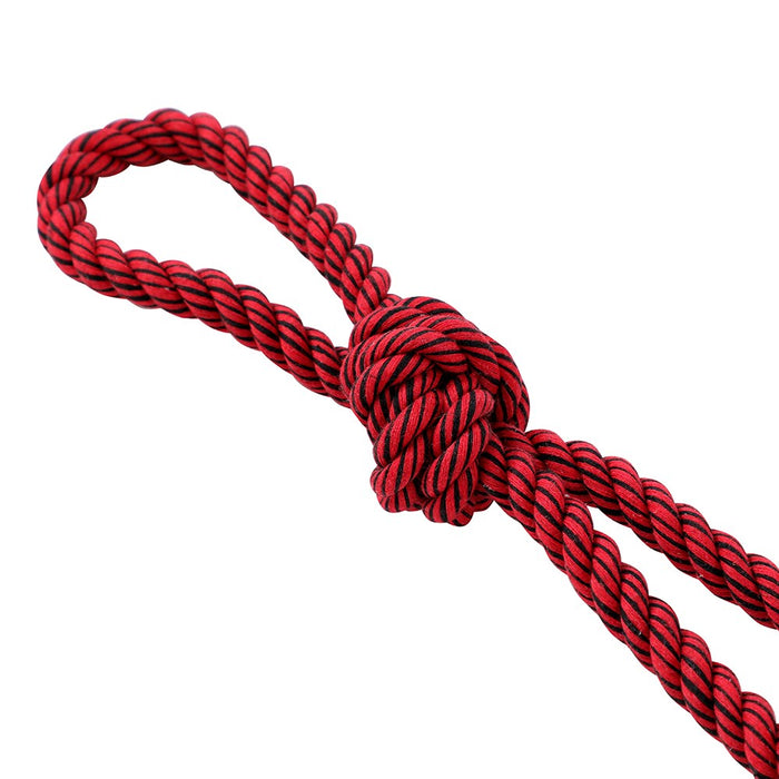 Paws & Claws CHOMP N TUG GEO TPR + ROPE TUGGERS  45X10X5CM
