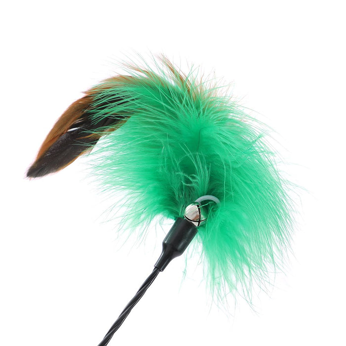 Paws & Claws POUNCE SPRINGING FEATHER CAT DANGLER COLS 48X1CM