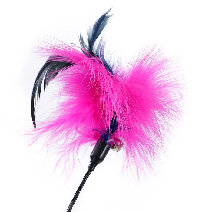 Paws & Claws POUNCE SPRINGING FEATHER CAT DANGLER COLS 48X1CM