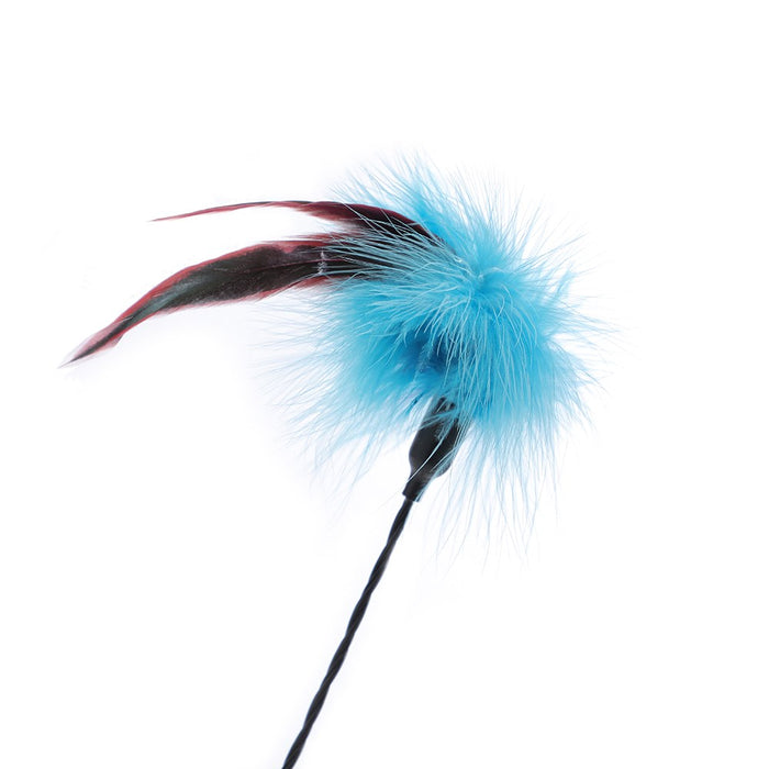Paws & Claws POUNCE SPRINGING FEATHER CAT DANGLER COLS 48X1CM
