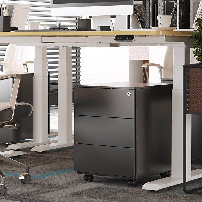 Flexispot RC2 Storage Cabinet: Secure, Smart Storage for Every Space