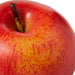 NSIMG-SHA256:84d8ad69e932faf0c63ca418b09e77f3d5528b35c9d71922dca8cddbcae02d92 · Isalbi Rogue Red Apple
