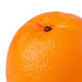 NSIMG-SHA256:ce11d8d7f9daddb848ddaf1d611b4ac570c1c0a5ba5de9535f80297621666267 · Isalbi Rogue Orange