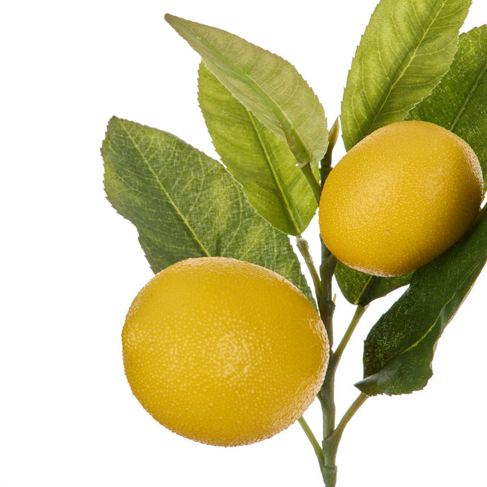 NSIMG-SHA256:56233661b34ccc678229b7665cf87ba9517995f5bdb86f98572ced4de389b9ac · Isalbi Rogue Lemon Spray with Leaves Yellow