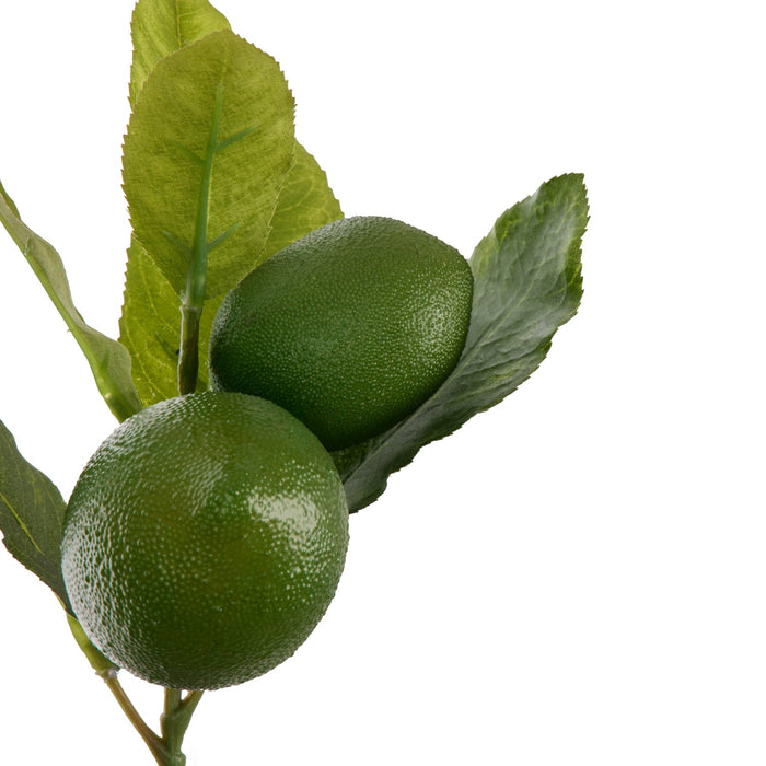 NSIMG-SHA256:0866ced4f669e6dd7c58594d5e406b1c98086ff051fec2a577afe4c4c39dabc8 · Isalbi Rogue Lime Spray with Leaves Green