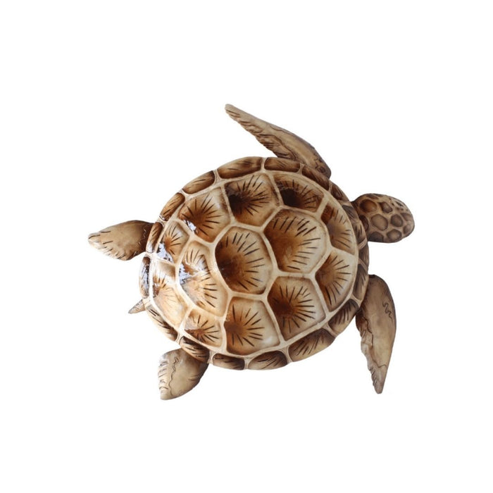 2 set Capiz Brown Turtle Wall Art