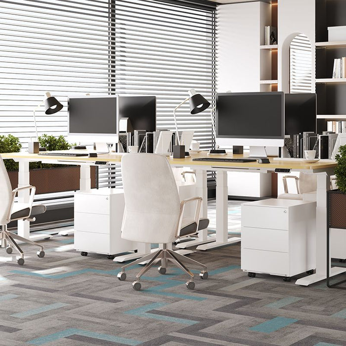 Flexispot RC2 Storage Cabinet: Secure, Smart Storage for Every Space