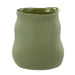 NSIMG-SHA256:0b79ca18dbee07b3029361fe4c43489c8a61a00e5b5fb5c80272ee0196577e0f · Isalbi Rogue Maliah Pot Green