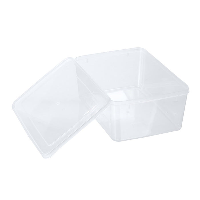 Lemon & Lime KEEP FRESH FOOD CONTAINER 5.5L 20X28X11.5CM
