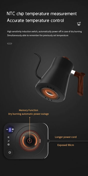 Electric Gooseneck Kettle with Temperature Control, 0.9L Stainless Steel Electric Kettle for Coffee and Tea, pour over Rapid Heating Quick Boiling