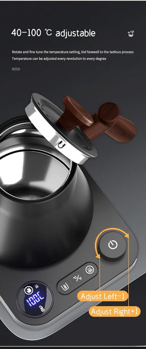 Electric Gooseneck Kettle with Temperature Control, 0.9L Stainless Steel Electric Kettle for Coffee and Tea, pour over Rapid Heating Quick Boiling