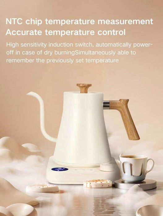 Electric Gooseneck Kettle with Temperature Control, 0.9L Stainless Steel Electric Kettle for Coffee and Tea, pour over Rapid Heating Quick Boiling