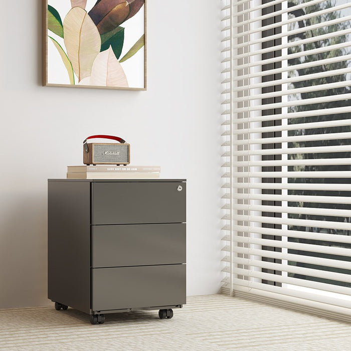 Flexispot RC2 Storage Cabinet: Secure, Smart Storage for Every Space