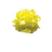 NSIMG-SHA256:69c77d3150d925dd1046ee506d745438ebd97d472a74af7691682c71972bbaea · Isalbi Discovery Zone Crystal Growing Kit CDU 12pcs Assorted