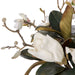 NSIMG-SHA256:83e52f0a39bfc30e95795e533ad0deee53b195ea87f4d807fc6905928fbbe029 · Isalbi Rogue Magnolia Mix - Ryde Green