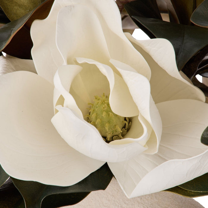 NSIMG-SHA256:aac7482e77a1fa6e01974ce819f9f9f61944aa951a3d300e13d93d259ebeedeb · Isalbi Rogue Magnolia Mix - Ryde Green