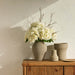 NSIMG-SHA256:59d7bada34598b3ab00768c99ef8a64e5d38e508ddd8190d7cdb366267b970ee · Isalbi Rogue Hydrangea Twig - Elsie White